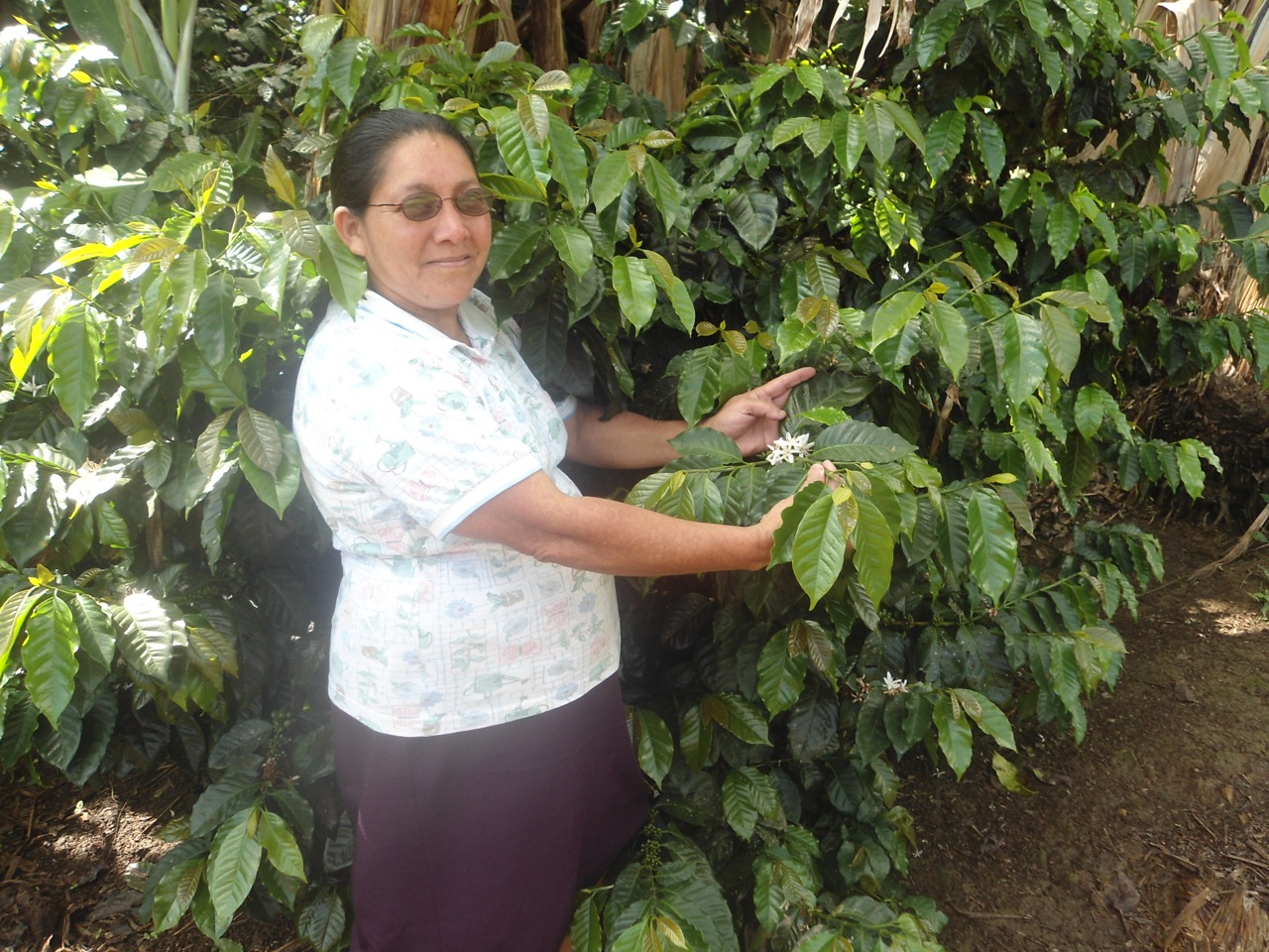 Elba on her coffee farm