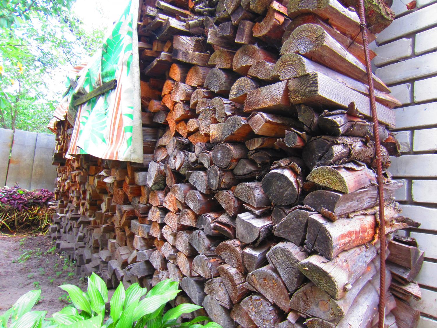 Vasiliy collected and cut this massive pile of firewood himself about 20 years ago and it's still going strong.