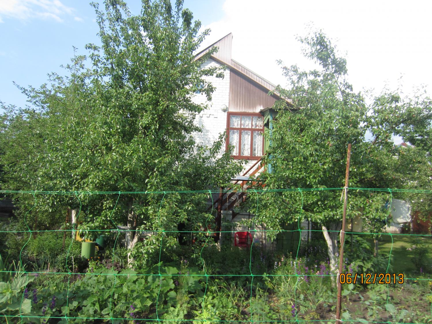 The dacha