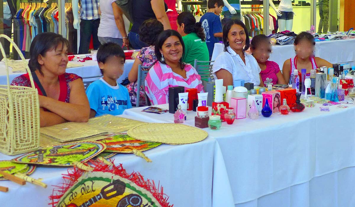 Micro-businesses ranged from handicrafts to catalog sales