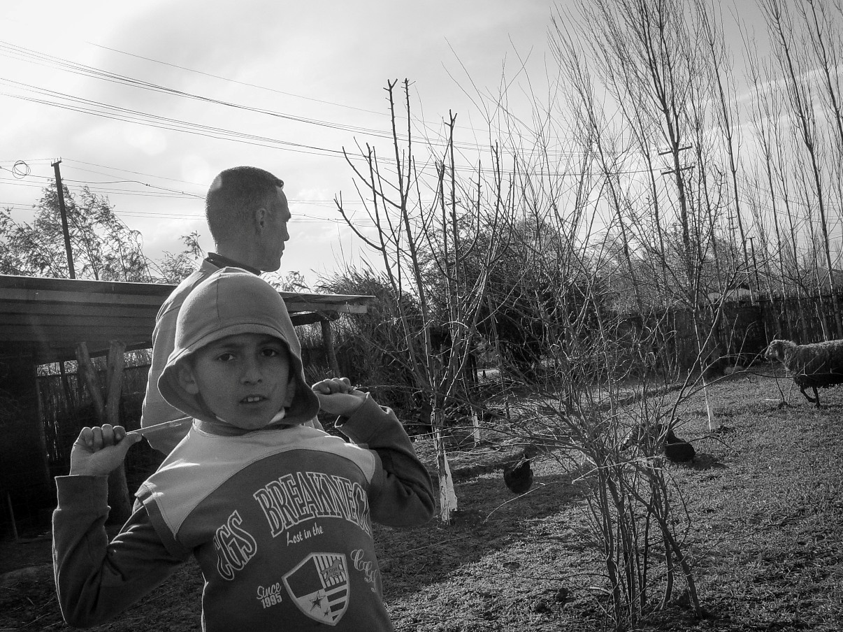 The boy loves tending to his sheep, much the way his parents do.