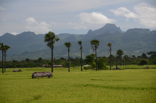 Hills east of Kupang.