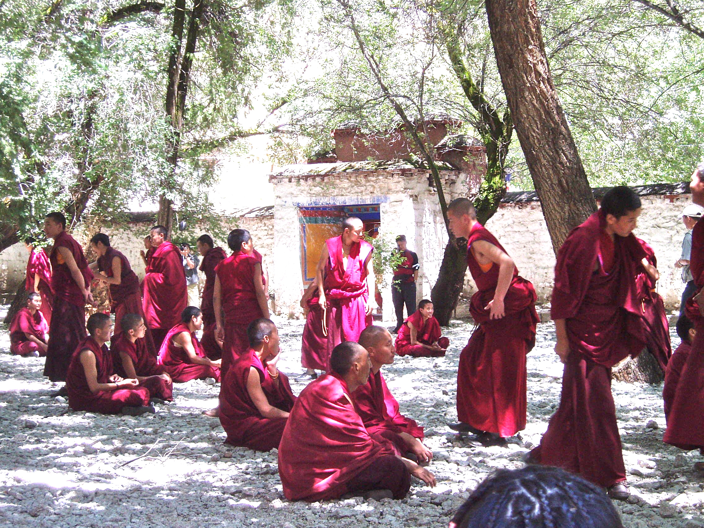 What can we learn about leadership from buddhist monks in Tibet?