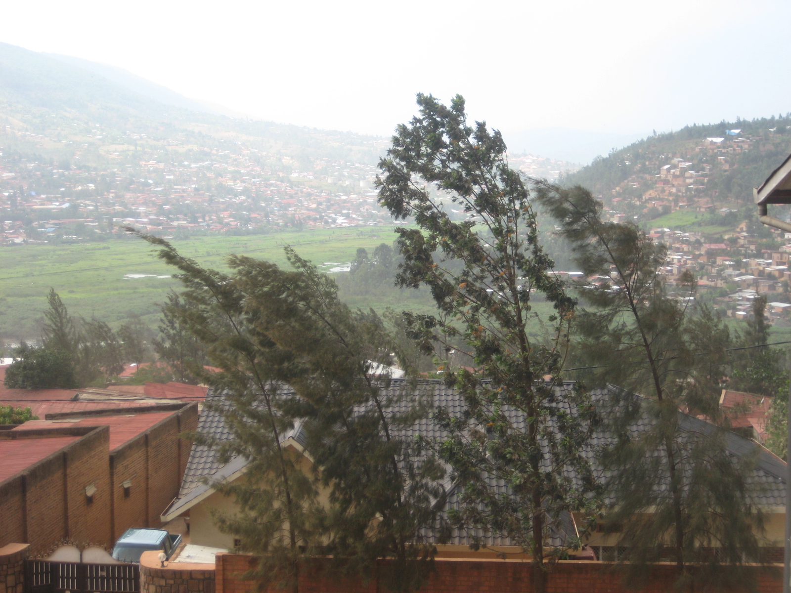 High winds are an ominous sign... get ready for a downpour!