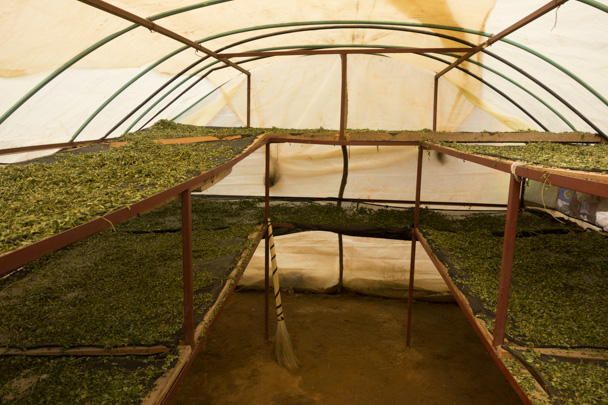 Inside the newly constructed dryer