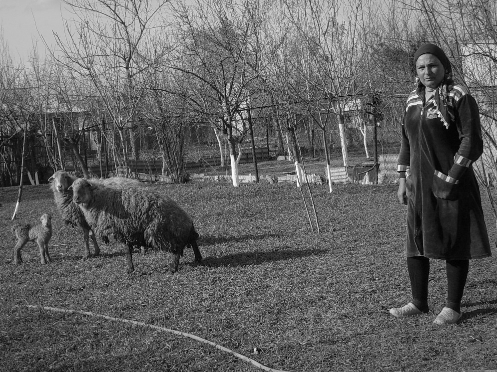 Latafat with her sheep, the main source of income for the family.