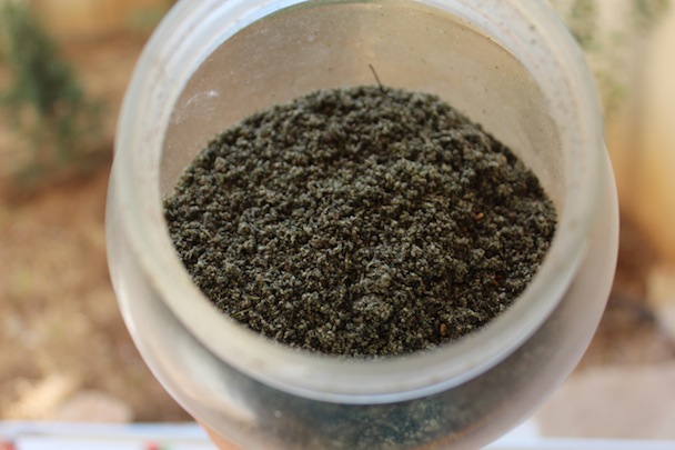 Thyme to eat!