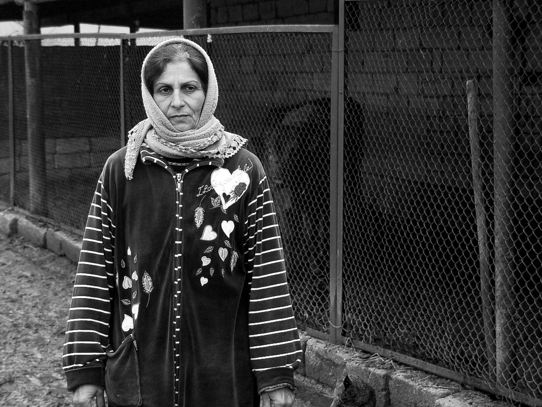 A woman with her livestock in the cold of late winter.