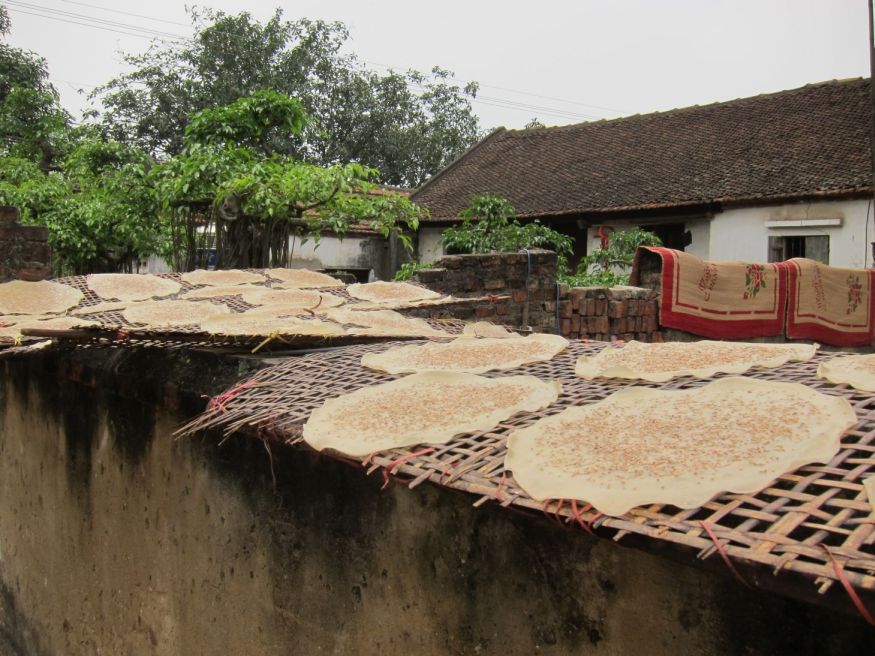 Banh Da: sesame rice crackers, a traditional Vietnamese snack. These are fresh and drying in the sun. When cooked they turn into a thick, crunchy cracker.