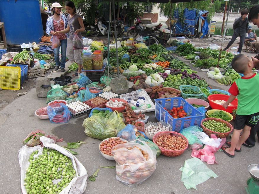 A typical street market in Hanoi. Markets like these are where all of the ingredients used to make the above dishes come from. I have yet to get sick