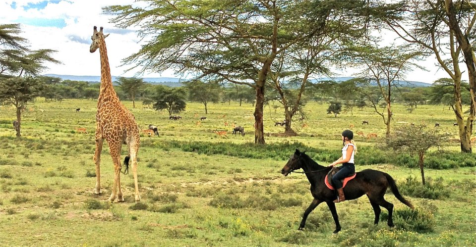 A normal day as a Kiva Fellow, Naivasha, Kenya