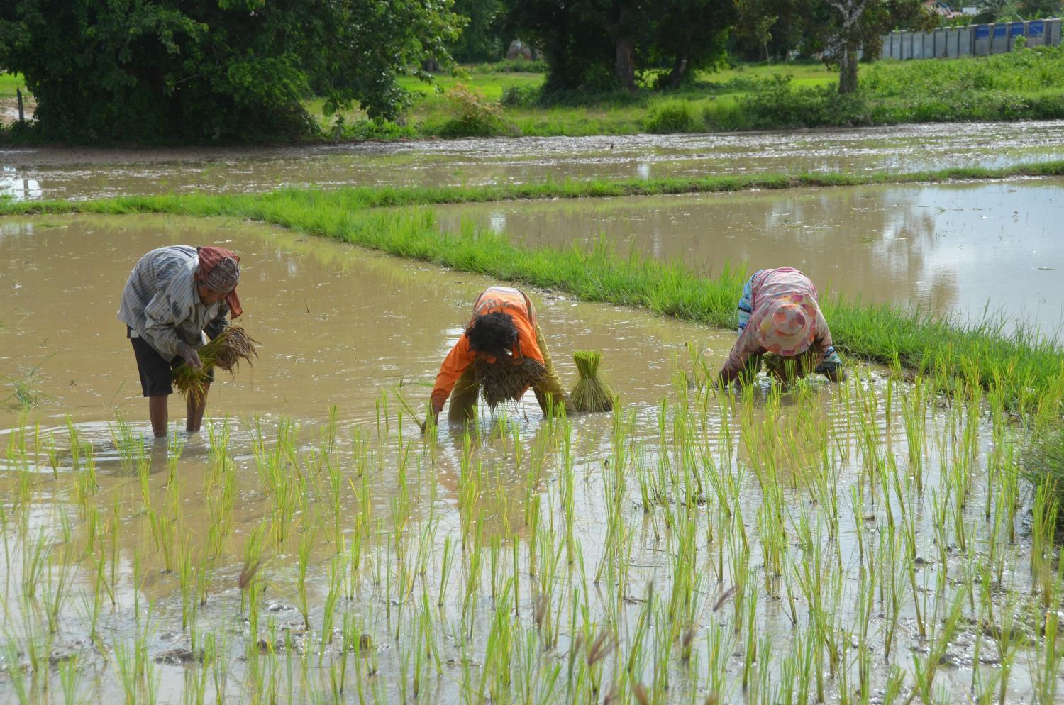 Most Cambodians are working hard to improve their own future as they see fit. Enabling them to do so is a much more effective strategy than providing handouts.