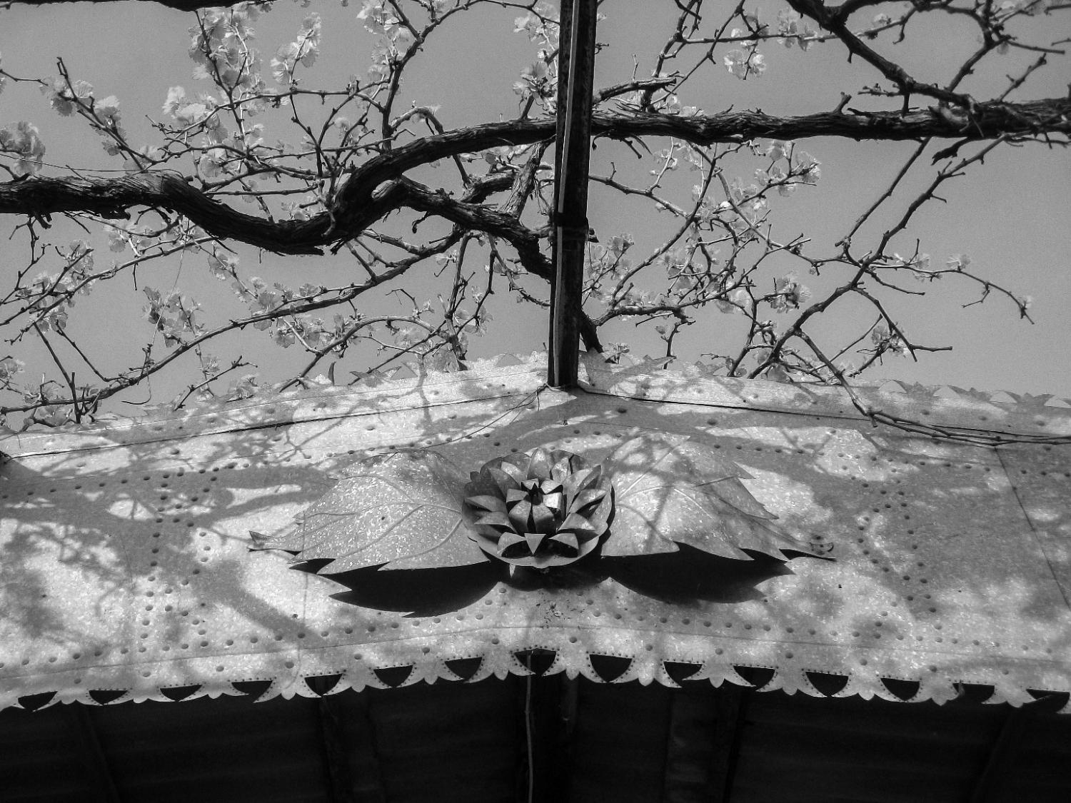Decorative roofing like this is commonplace on homes, to add some style.