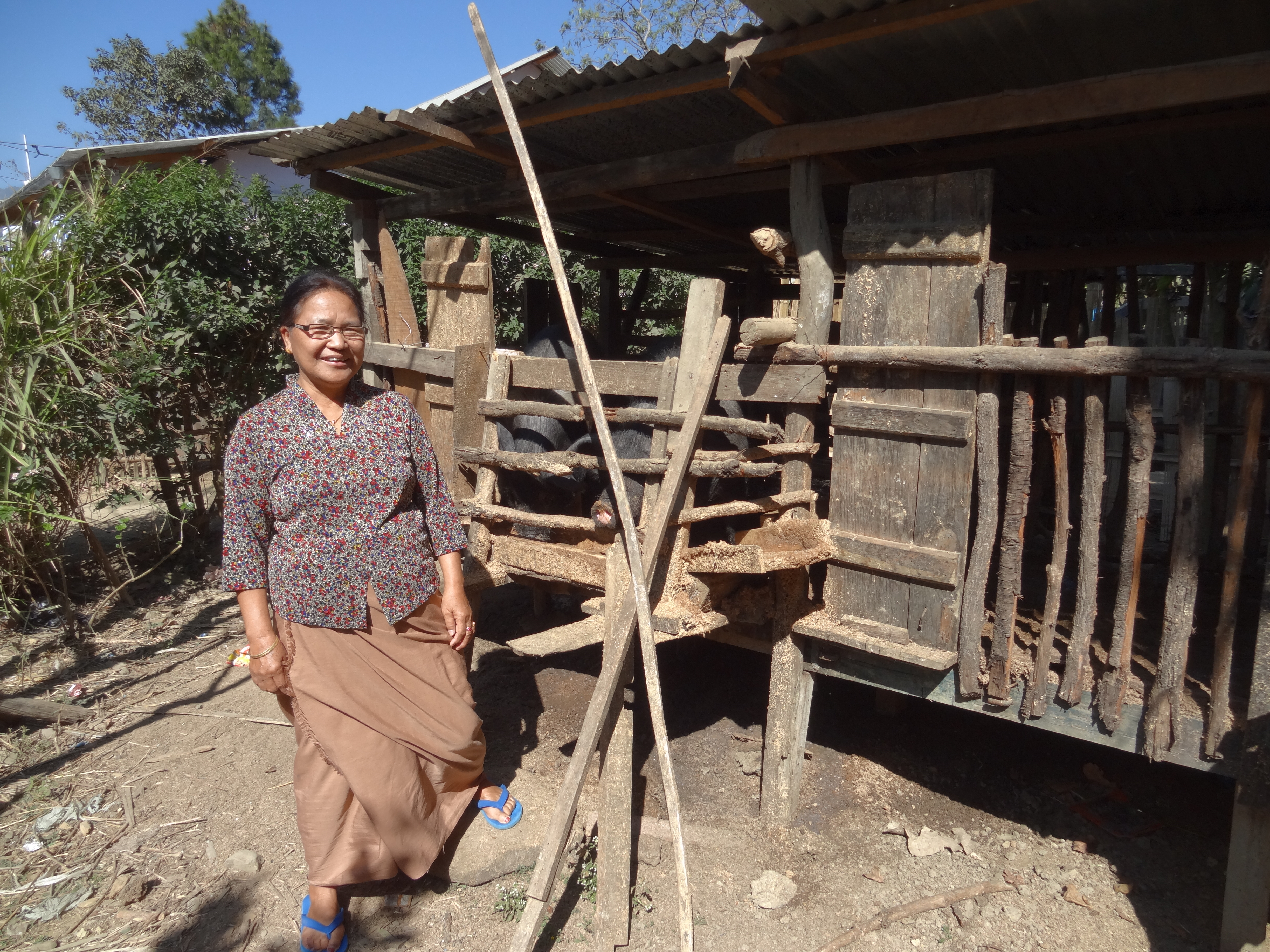 Thengkhawm and her fully grown pigs to sell