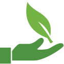 hand with leaf