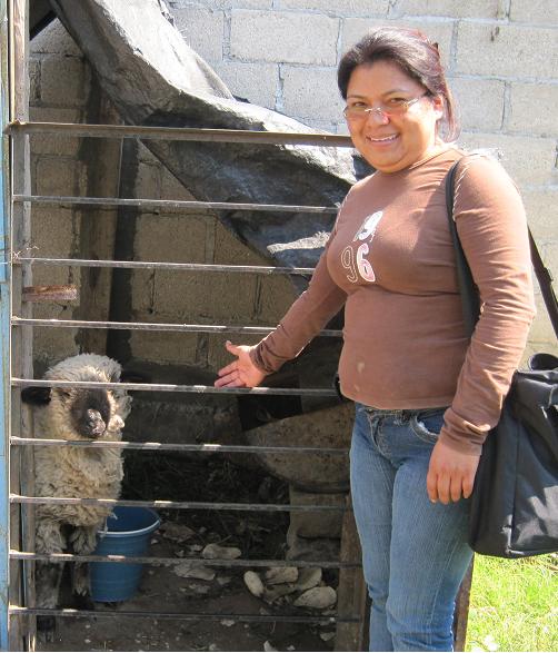 Borrega Loan Officer in Mexico with a Borrega - cross between a goat and a sheep