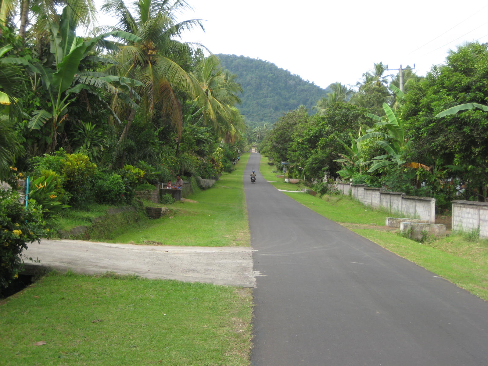 At DINARI's Business Development Services Center The road in Belimbingsari
