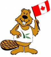 Crazy Canuck Lending Team Logo The Crazy Canuck Lending Team Logo