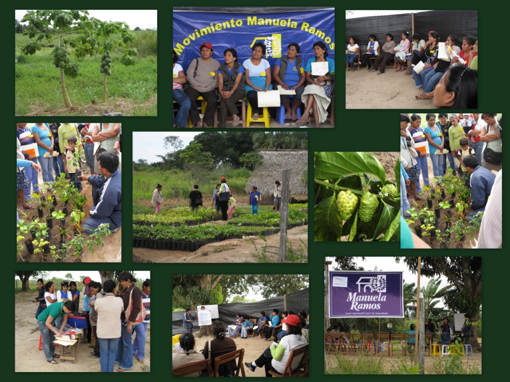 Taller SMALLER Workshop on Growing Ornamental Plants