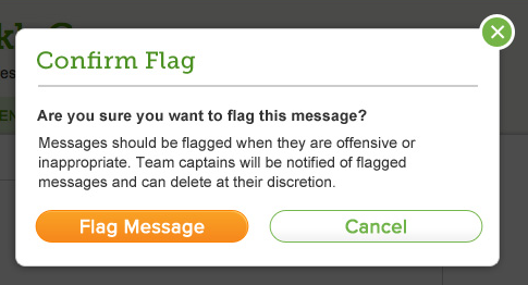 Confirmation window for flagging a post