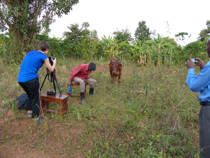 setting up for our interview...right before Pascal's cow charged us