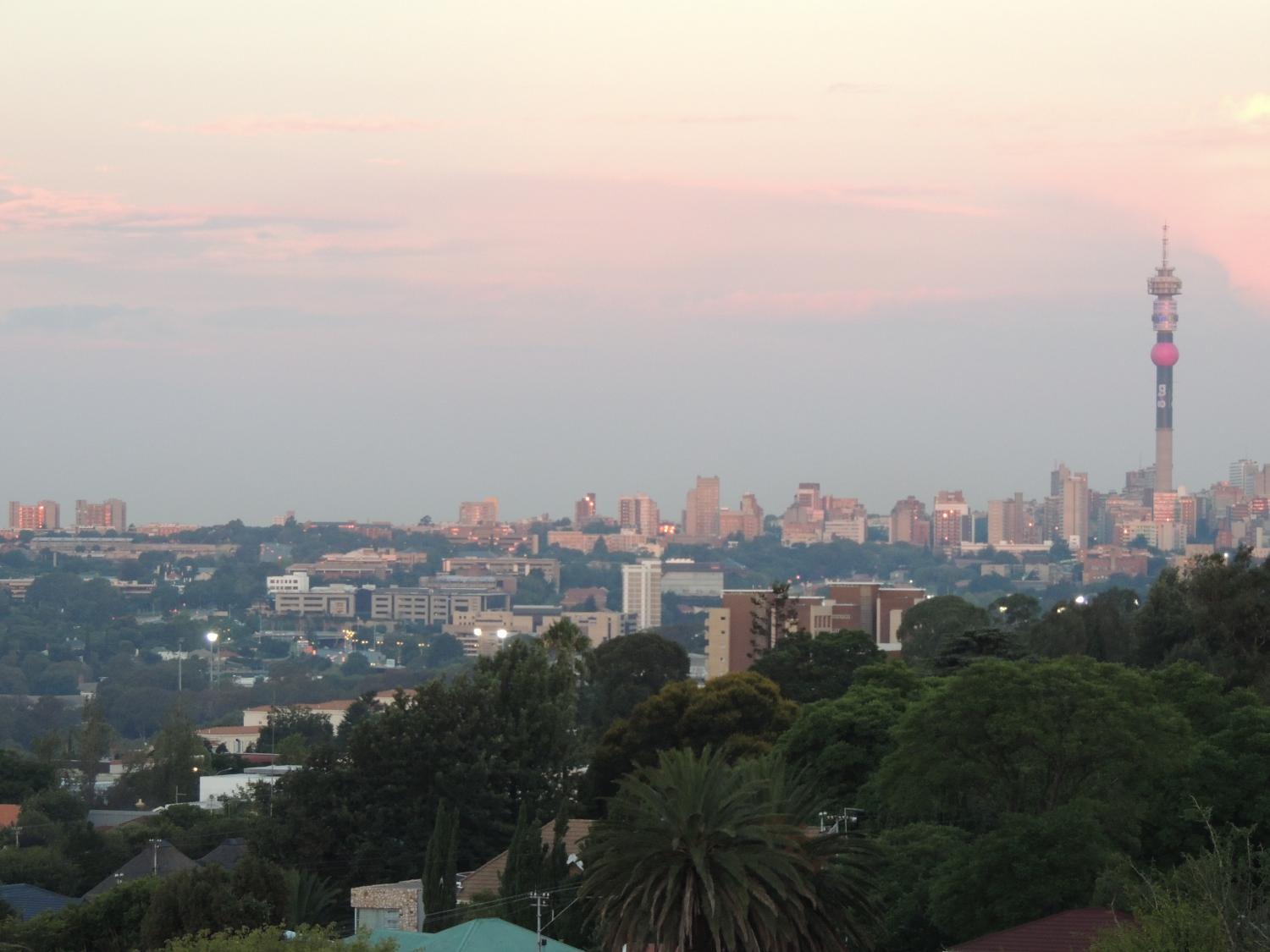 Joburg is a vast urban forest with over 10 million trees. Some say it’s the largest man-made forest in the world. Quite a contrast from the grasslands and savannahs that surround the city.