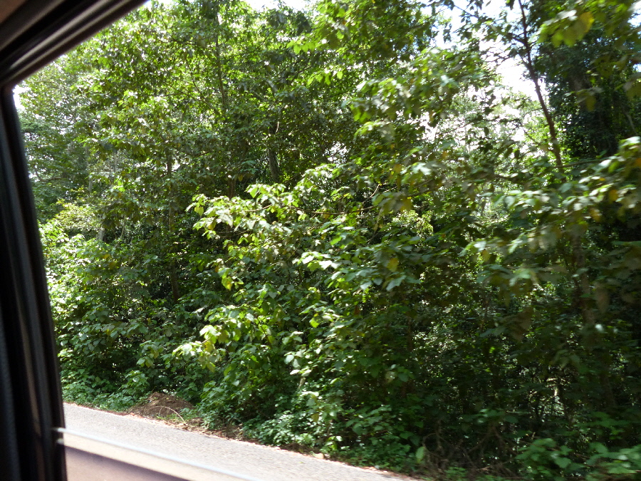 Eastern Uganda countryside