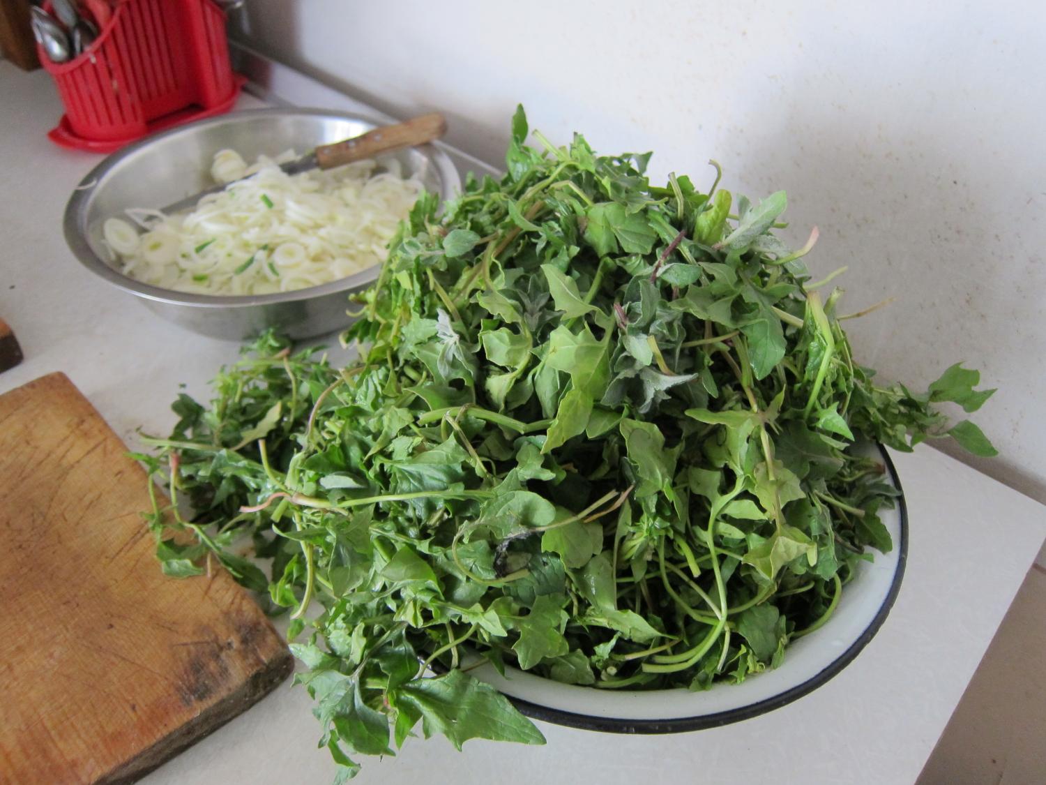 Freshly picked wild greens