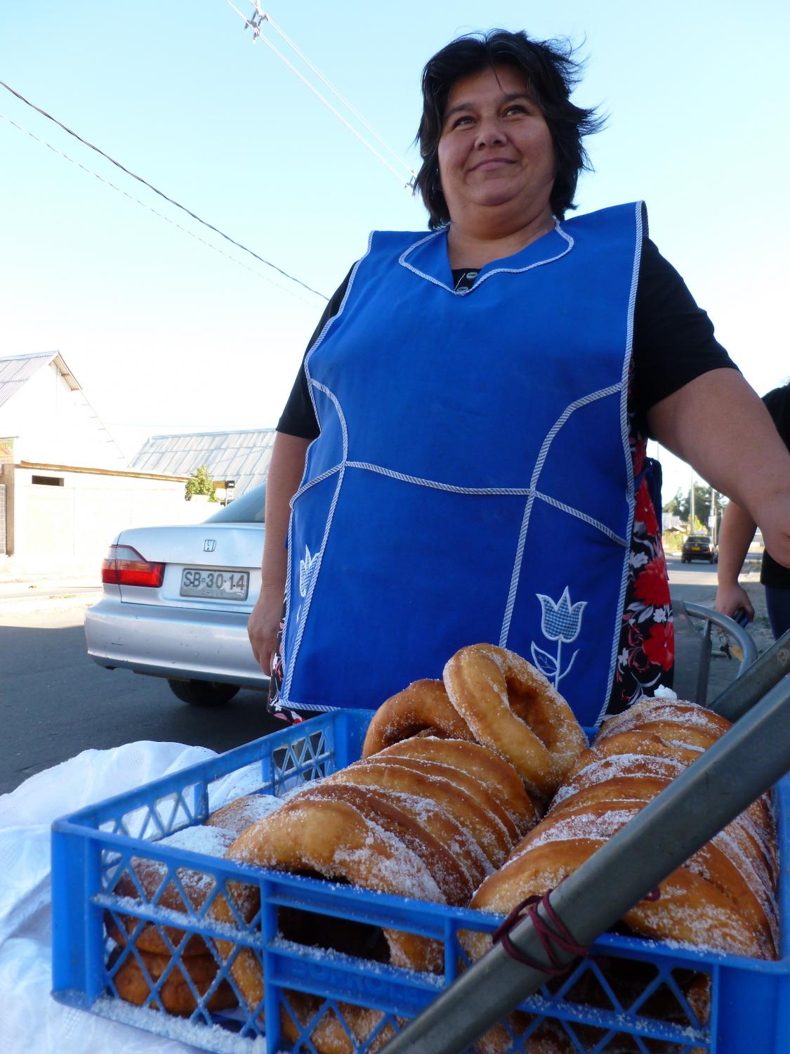 Borrower in Talca, Chile