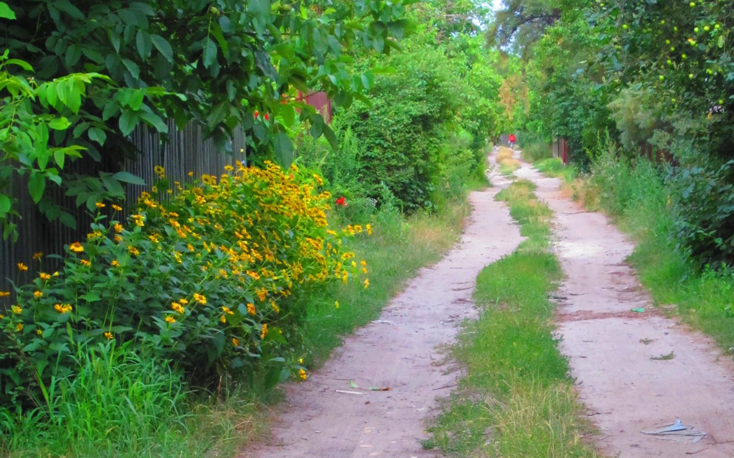 The road to the dacha.