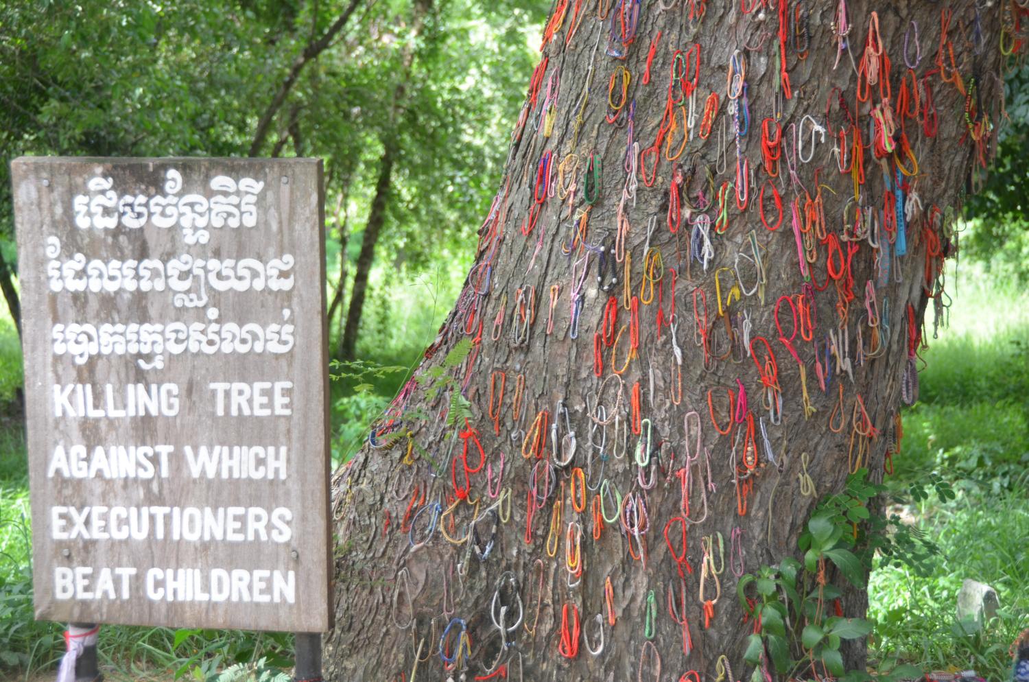 A tree at one of the hundreds of "Killing Fields" in Cambodia, where the Khmer Rouge orchestrated a mass genocide from 1975-1979.