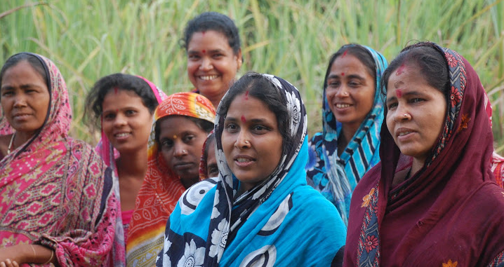 A Kiva loan helped 12 women in the Annapurna Baba Nilakantheswar Shg Group in India with sugarcane production