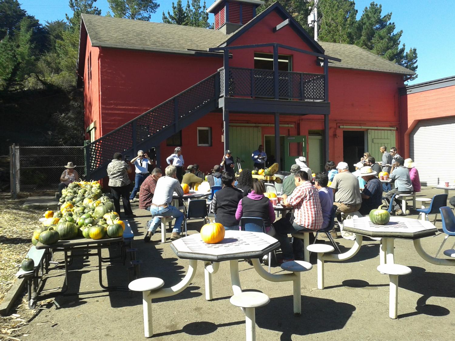 The kitchen and 'village center' of the Garden Project
