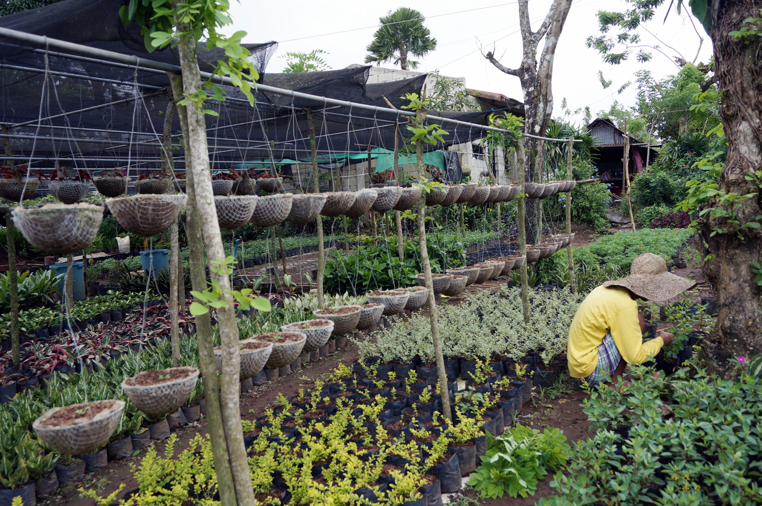 Gardener hard at work. Photo credit: Yung Kit