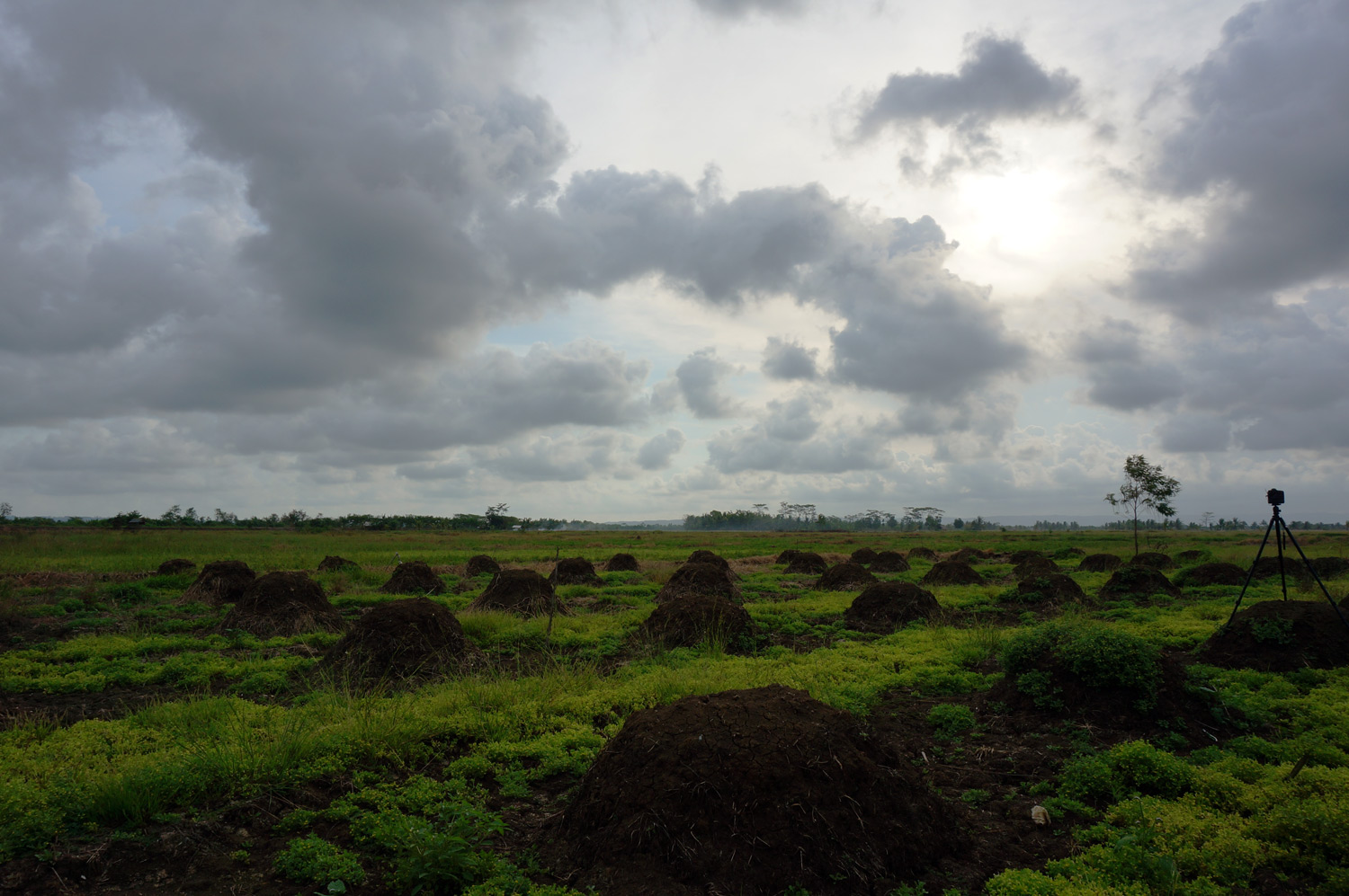 Beautiful field - soon to provide hundreds of families a home and way of living. Photo credit: Yungkit