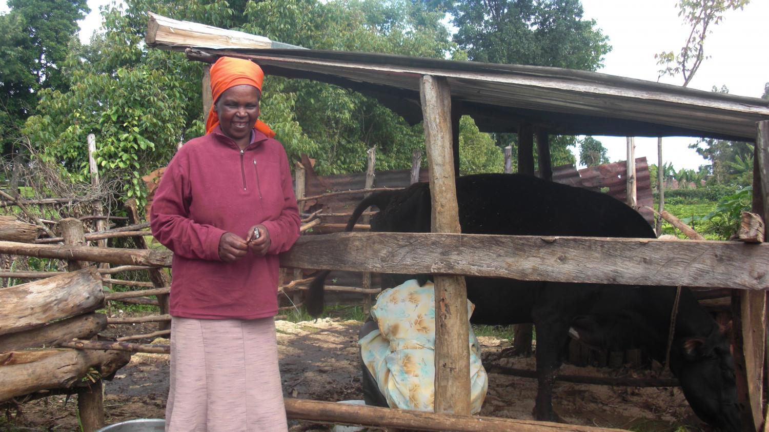 Florence and her cow shed acquired with her Kiva loan