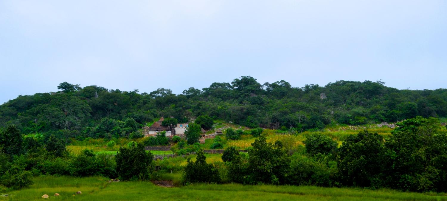 Letticia's beautiful farm