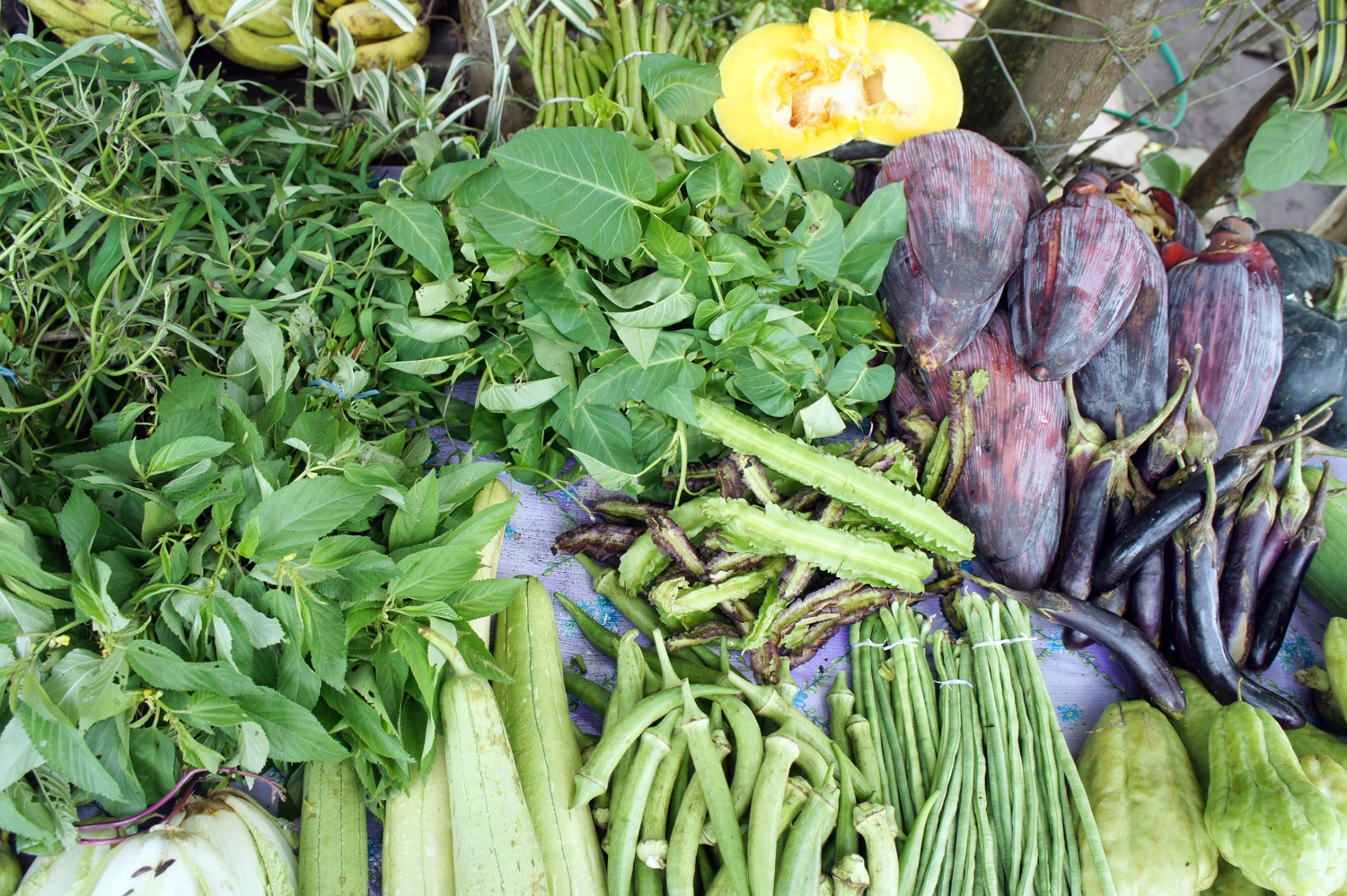 Such fresh vegetables! Photo credit: Yungkit