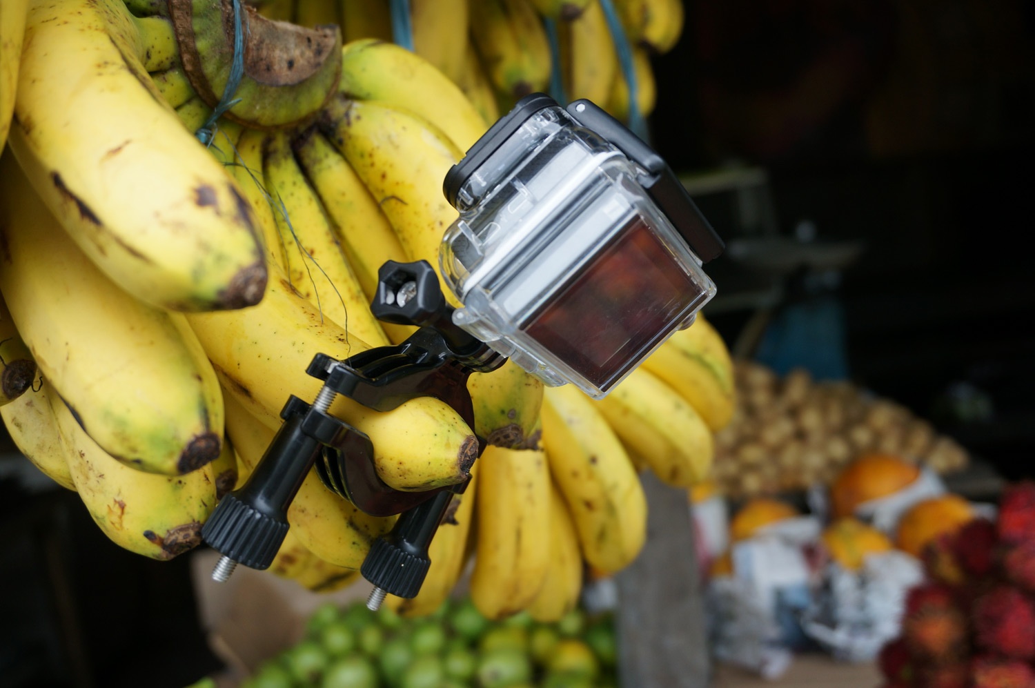 BANANA CAM! Photo credit: Yungkit
