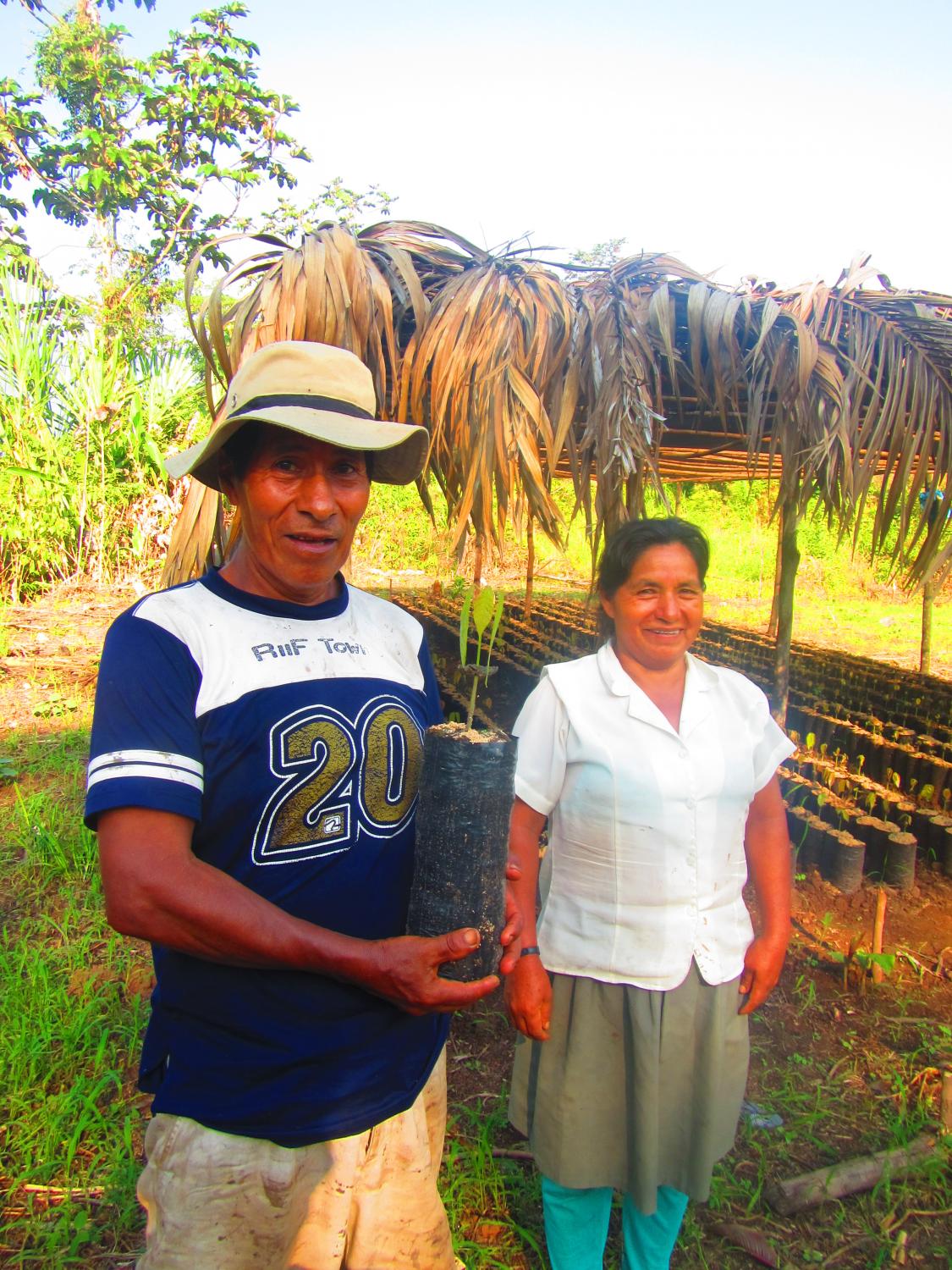Don Oscar, his wife, and their new cacao seedlings