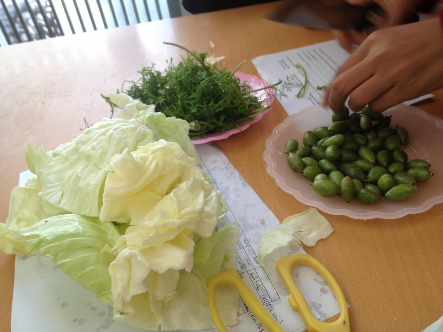 Local snack - it tastes sour and acrid - You wrap the green "nho't" with cabbage and herb, then dip with ginger sauce