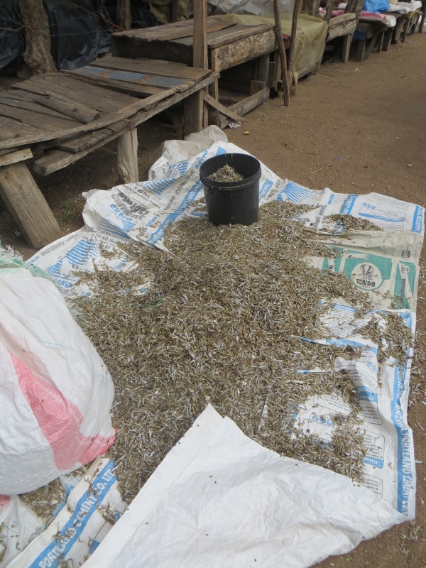 Dagaa (small fish) sold in market