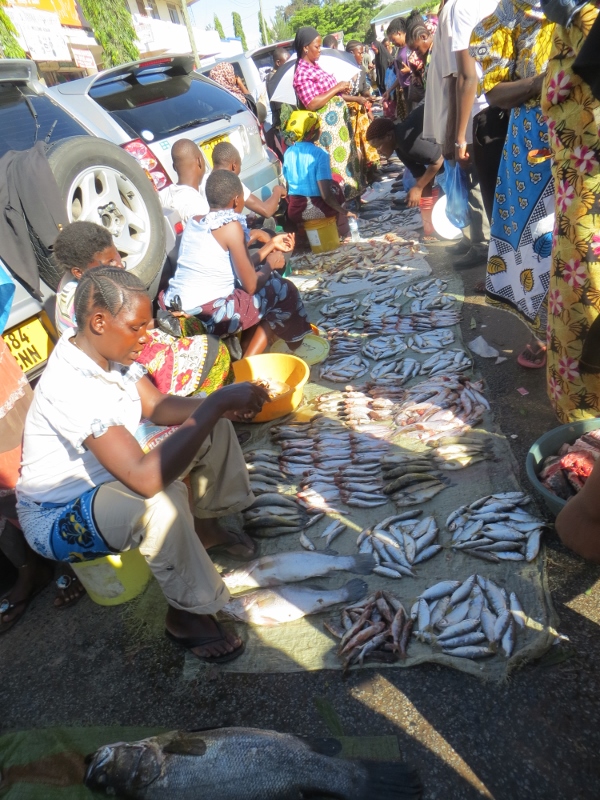 Fish at market in Mwanza