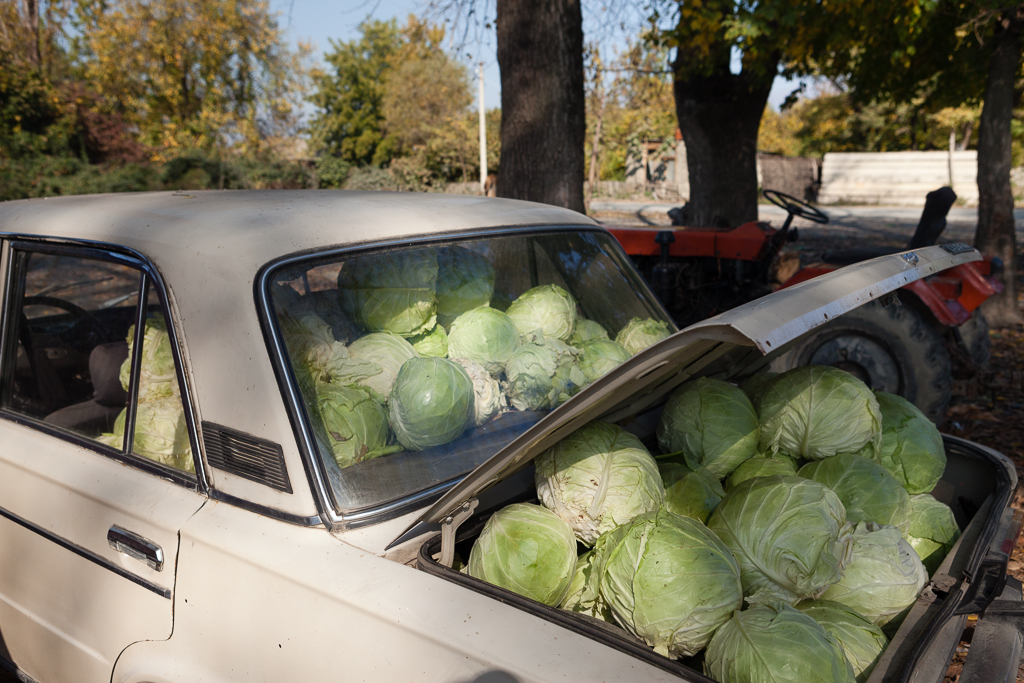 That Kiva loan for a car might be to transport cabbages!