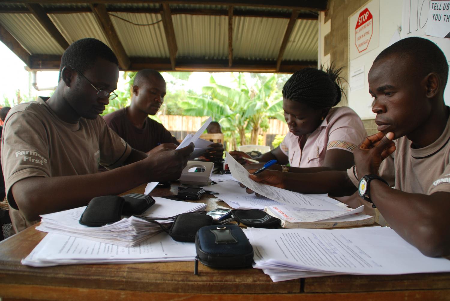 Field Team Leaders gather in the office on Saturdays to organize that week's collected materials from the field