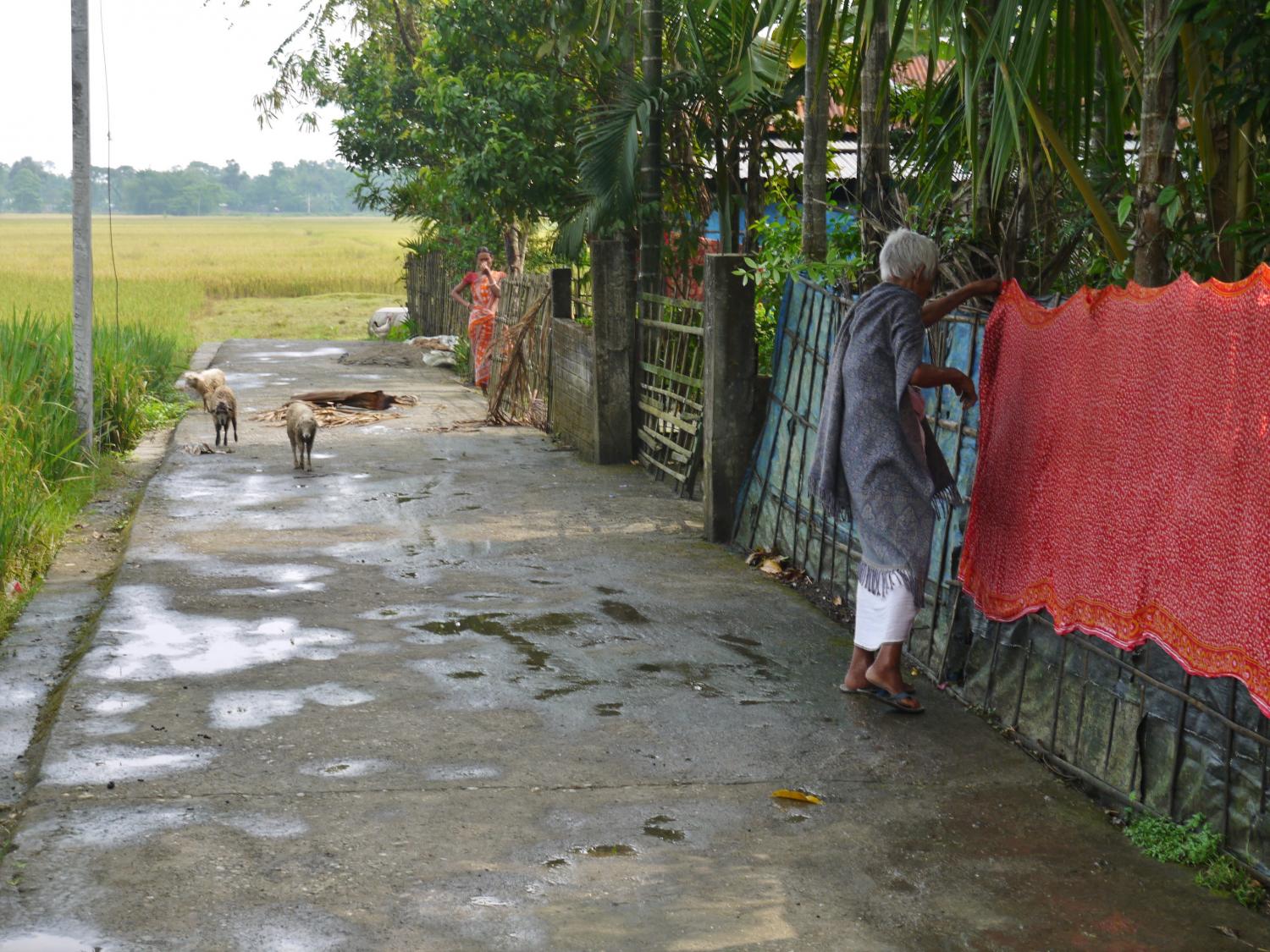 Borrower visits around Maynaguri