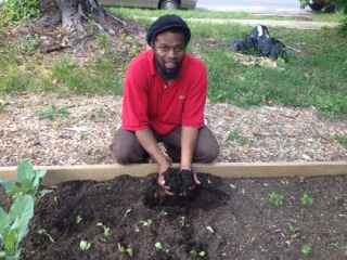 Duron Chavis from Renew Richmond replanting lettuce.