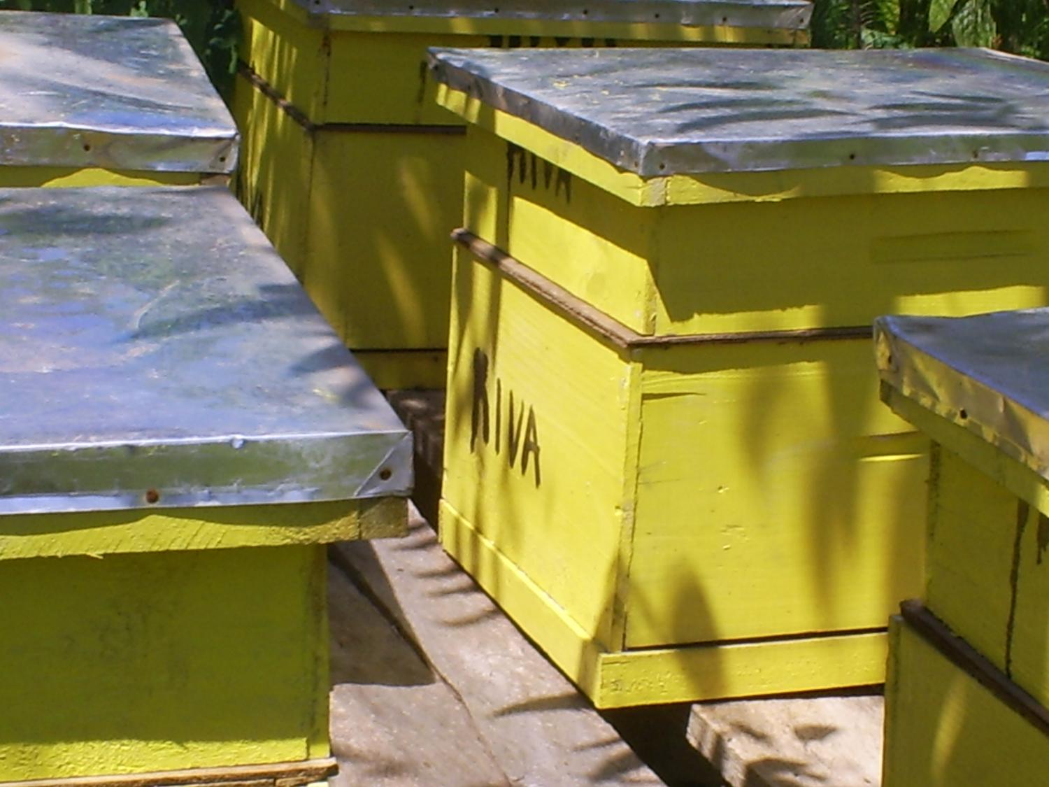 A Honey Care bee hive on a Kakamega farm that was financed by Kiva lenders!