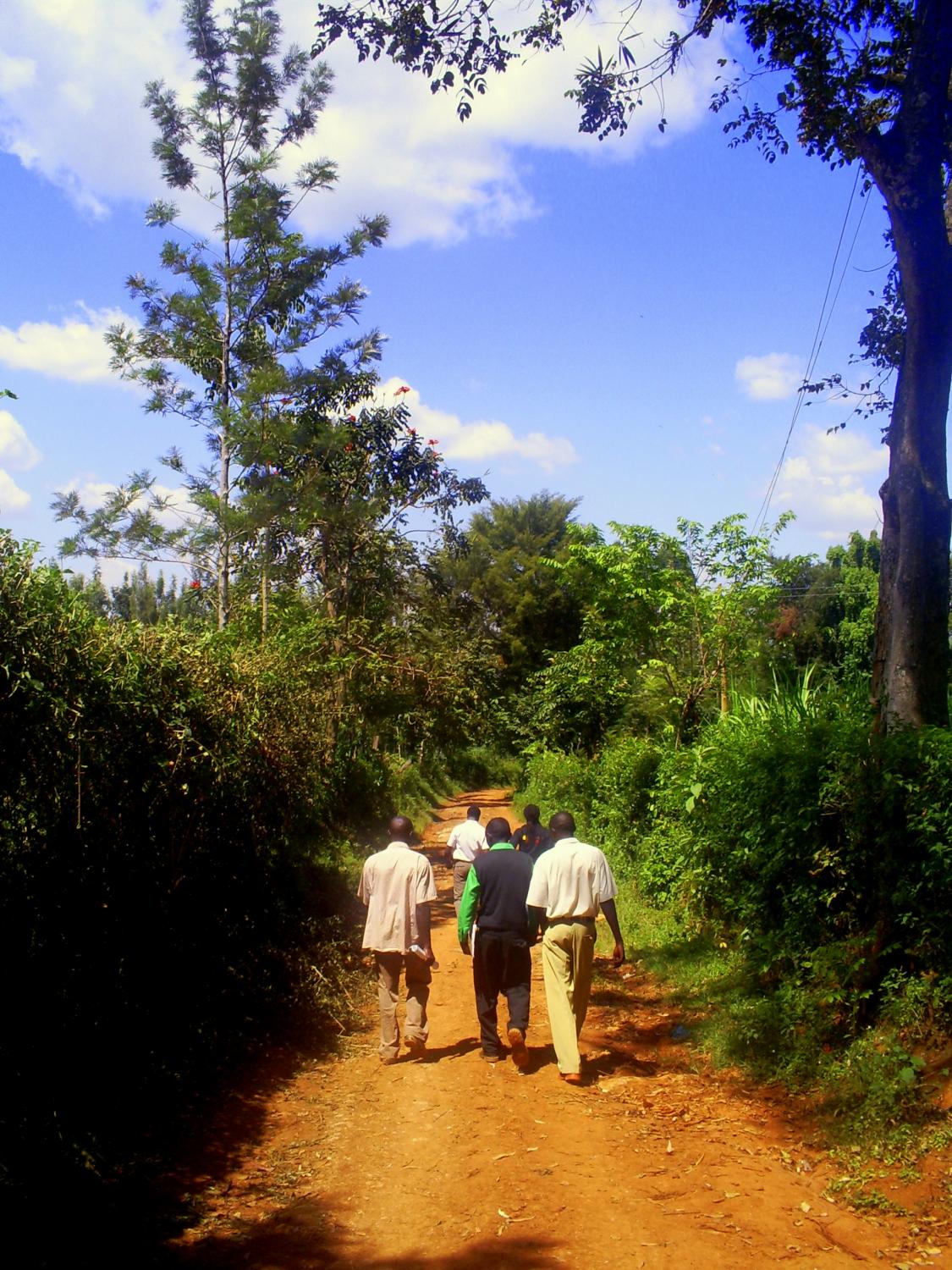 Some farmers in Kakamega see bee hives as a tool to combat deforestation of their lush homeland.