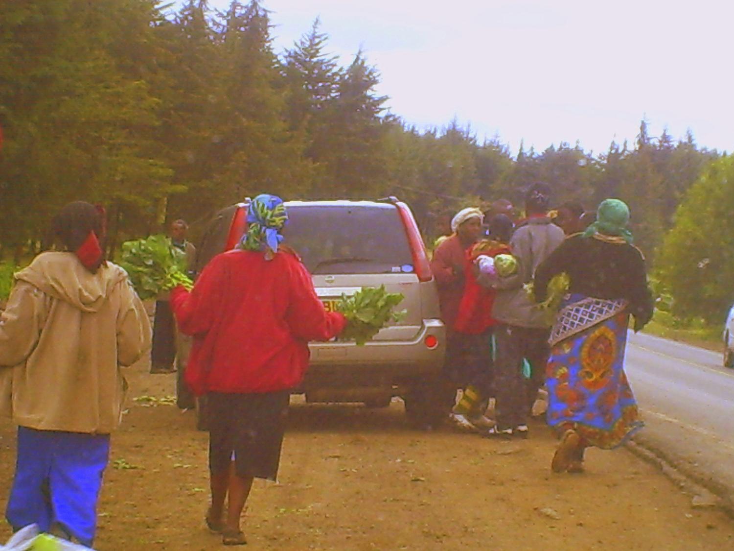 Farmers working hard to promote their produce whenever a car pull overs near a road-side produce market.